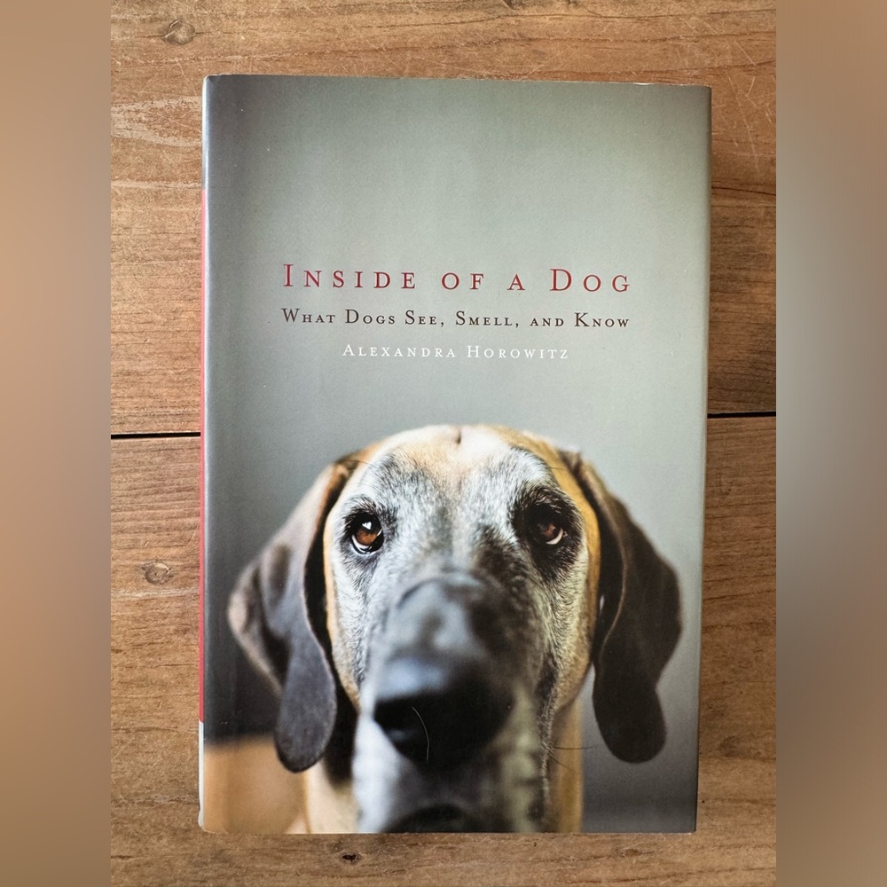 Inside Of A Dog: What Dogs See, Smell, and Know